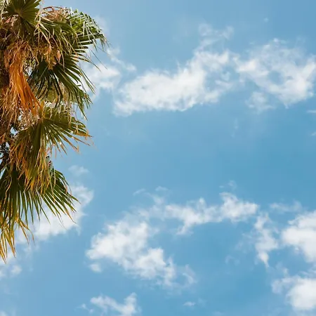 Appartement Home, With Direct Access To The Beach, Sea Views And South Facing, In Puerto Banus