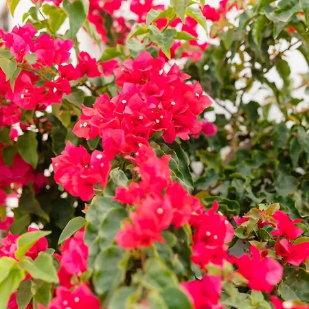 Appartement Home, With Direct Access To The Beach, Sea Views And South Facing, In Puerto Banus *